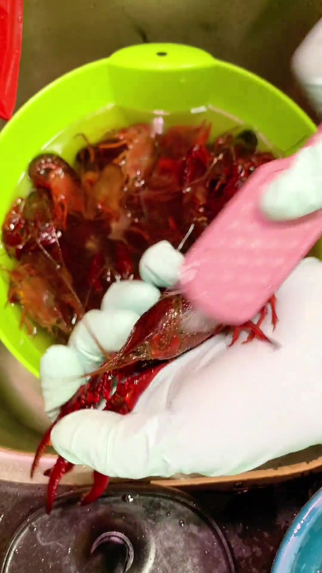 有点洁癖，第一次处理小龙虾，总结放心清洗法，看视频