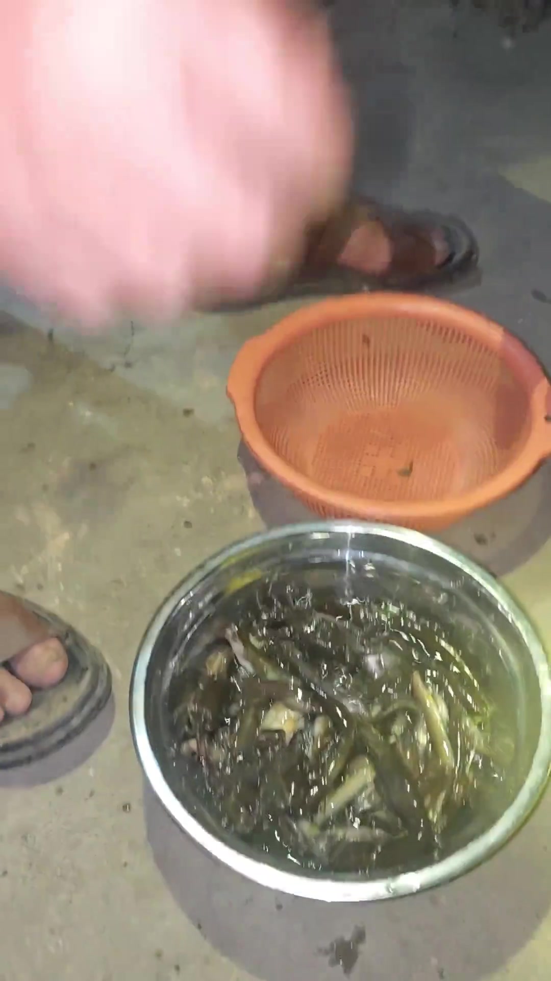 老爸下次还接我电话吗？看他表情好像不行杀鱼了 石鲶鱼