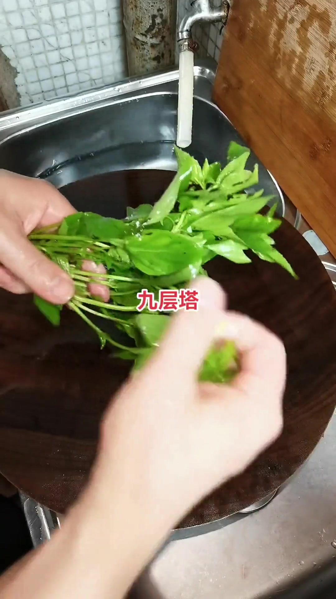 新鲜的九肚鱼,用酱油,胡椒粉腌制五分钟,上砂锅焗三分钟左右即可!