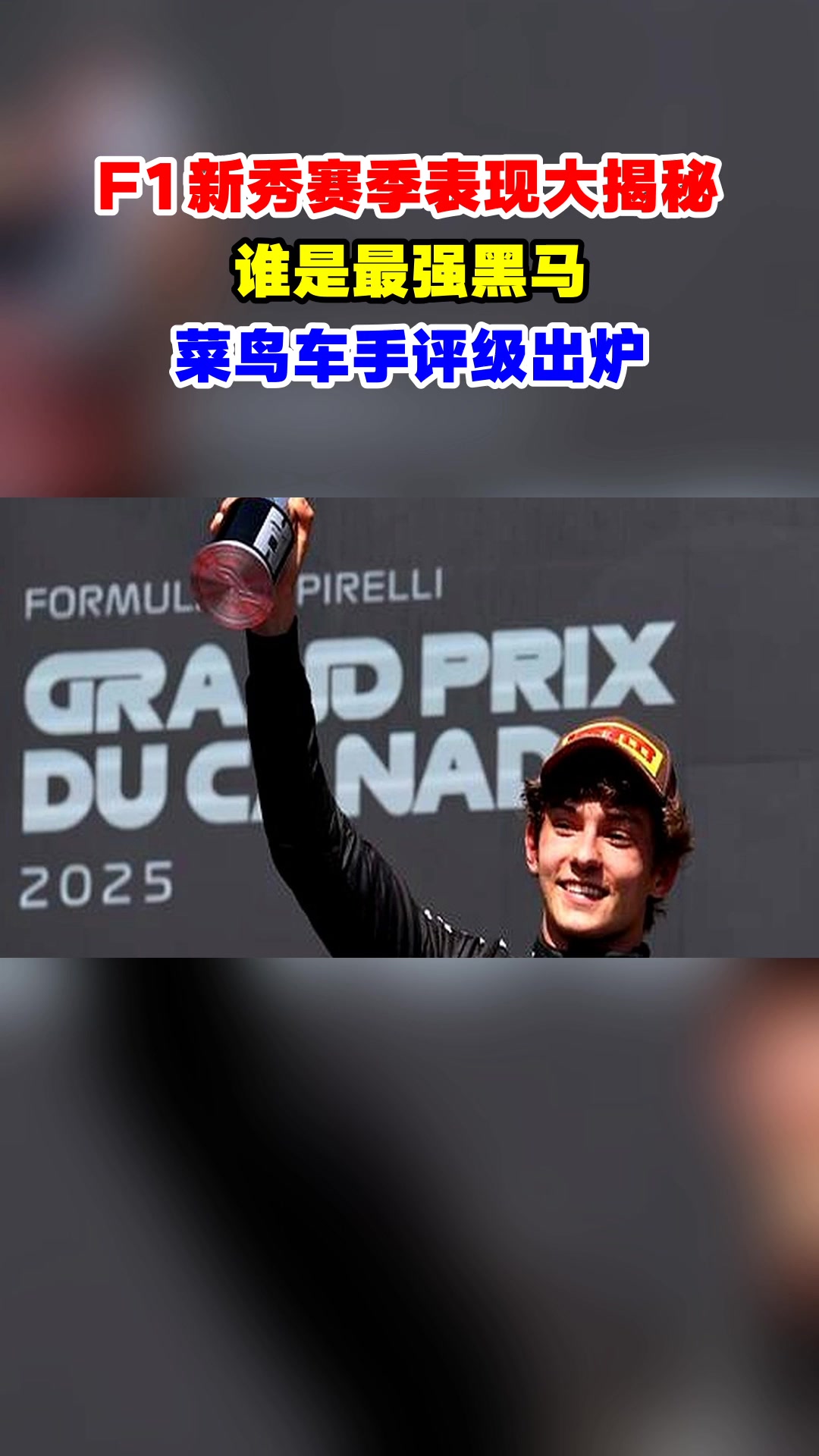F1新秀赛季表现大揭秘,谁是最强黑马,菜鸟车手评级出炉