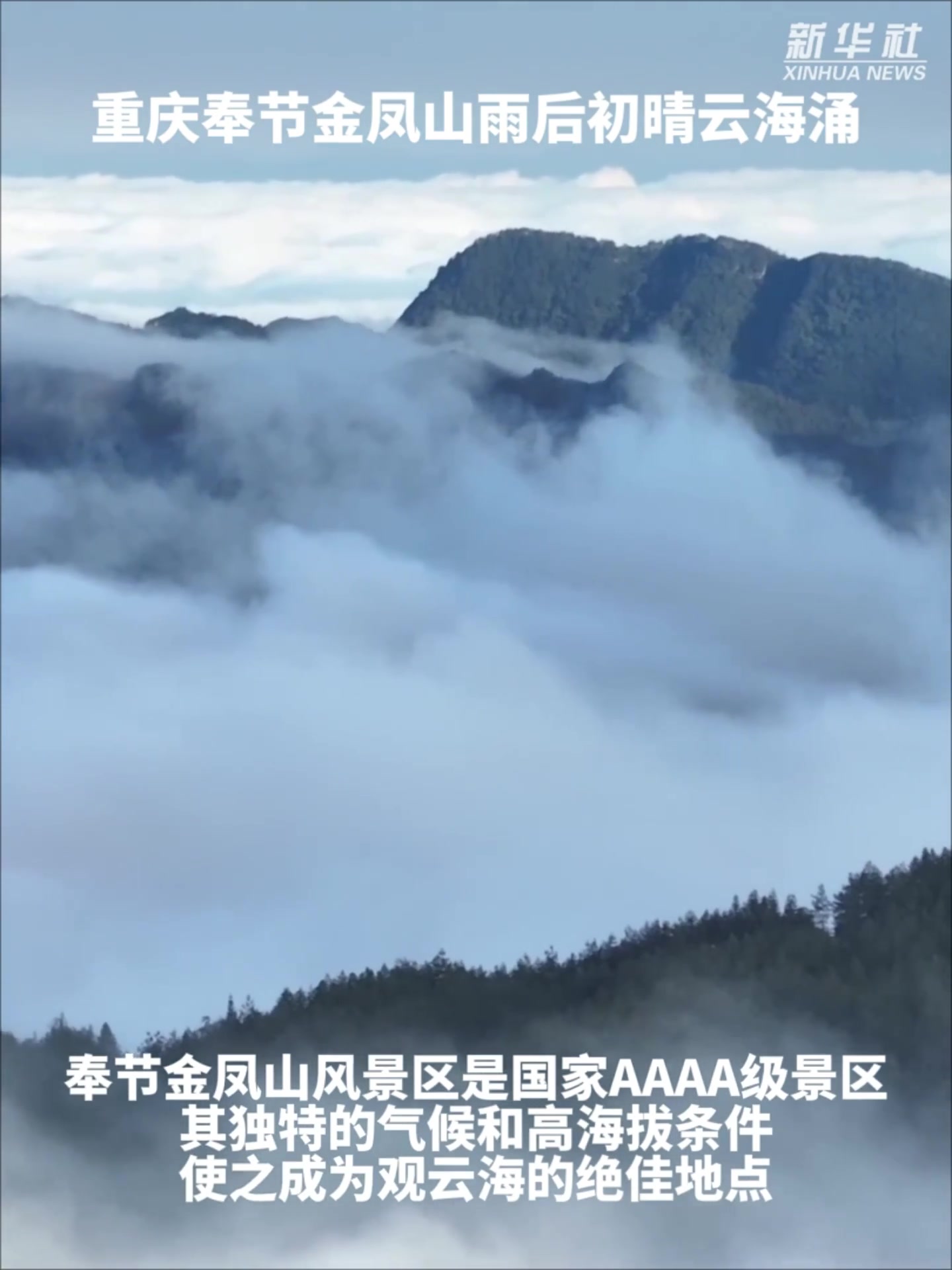 「重庆奉节金凤山雨后初晴云海涌」近日,一场降雨过后,天气放晴,海拔1900多米的重庆奉节县