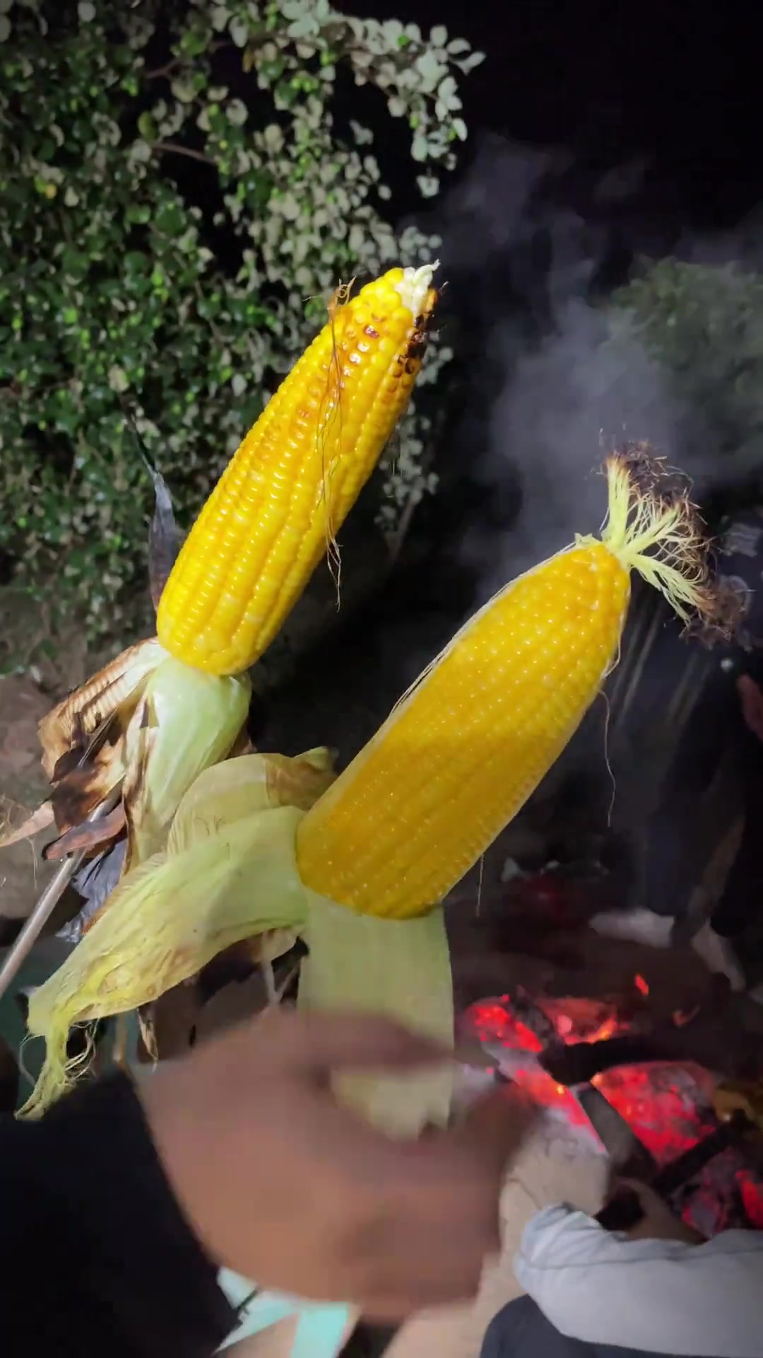 露营或者家烤必备的五指毛桃手烤鸡～