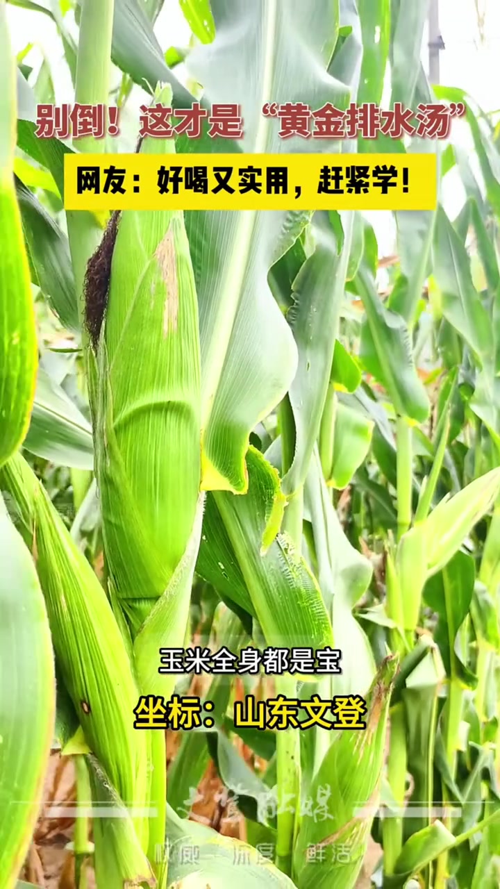 煮玉米的水是可以喝的,而且还有一定的好处。煮玉米水的价值  营养成分:玉米皮和玉米须中含有