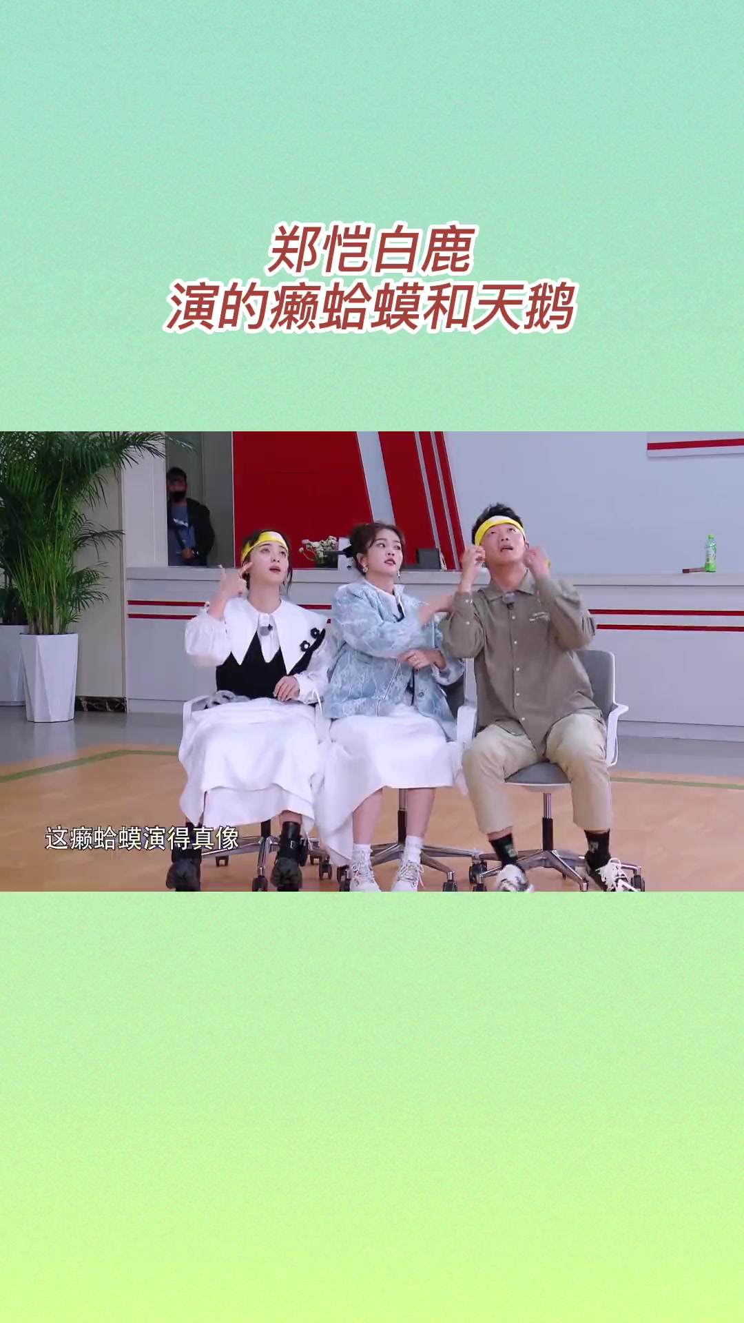 郑恺白鹿演的癞蛤蟆和天鹅，今晚20:20浙江卫视，更多精彩等你来看