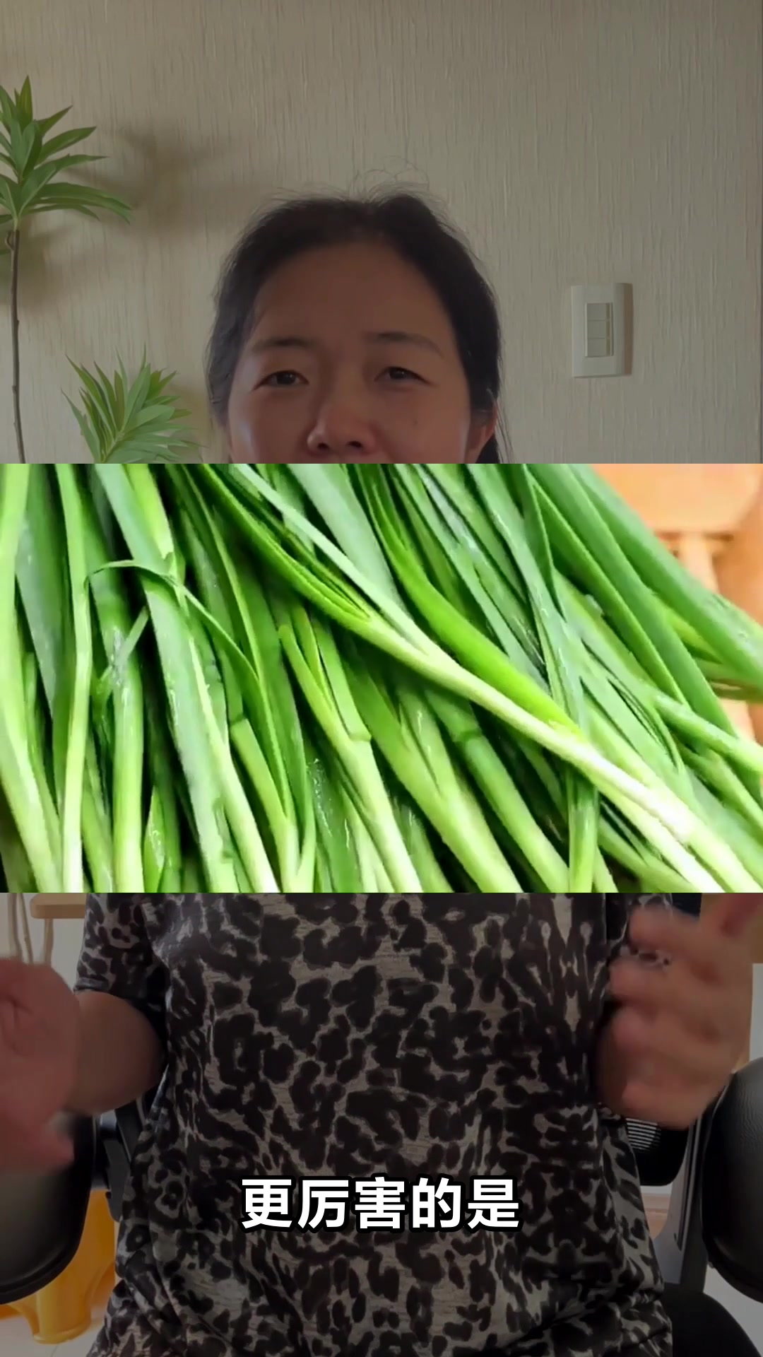 韭菜的营养价值与养生功效揭秘