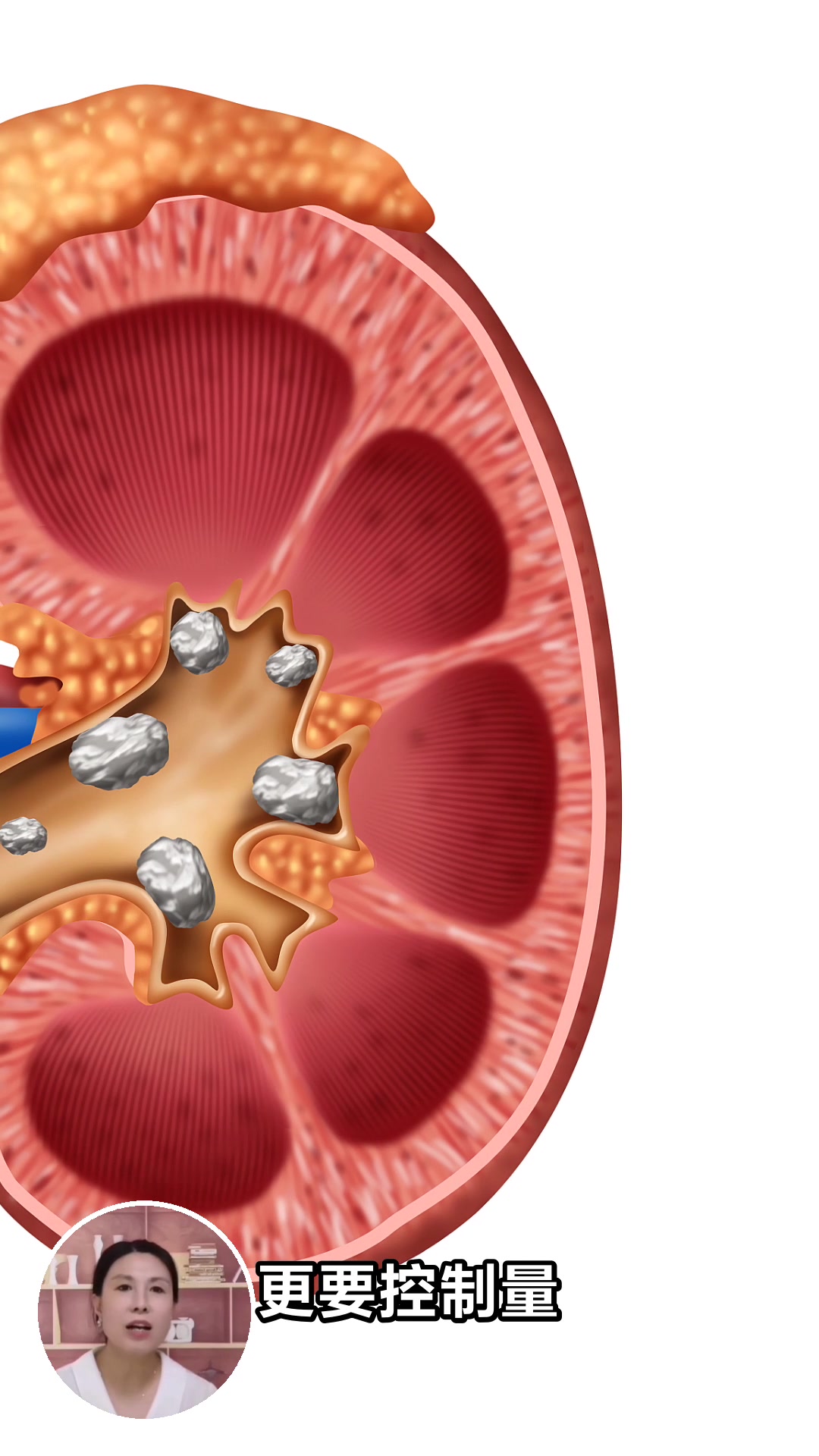 莼菜为何不建议多吃