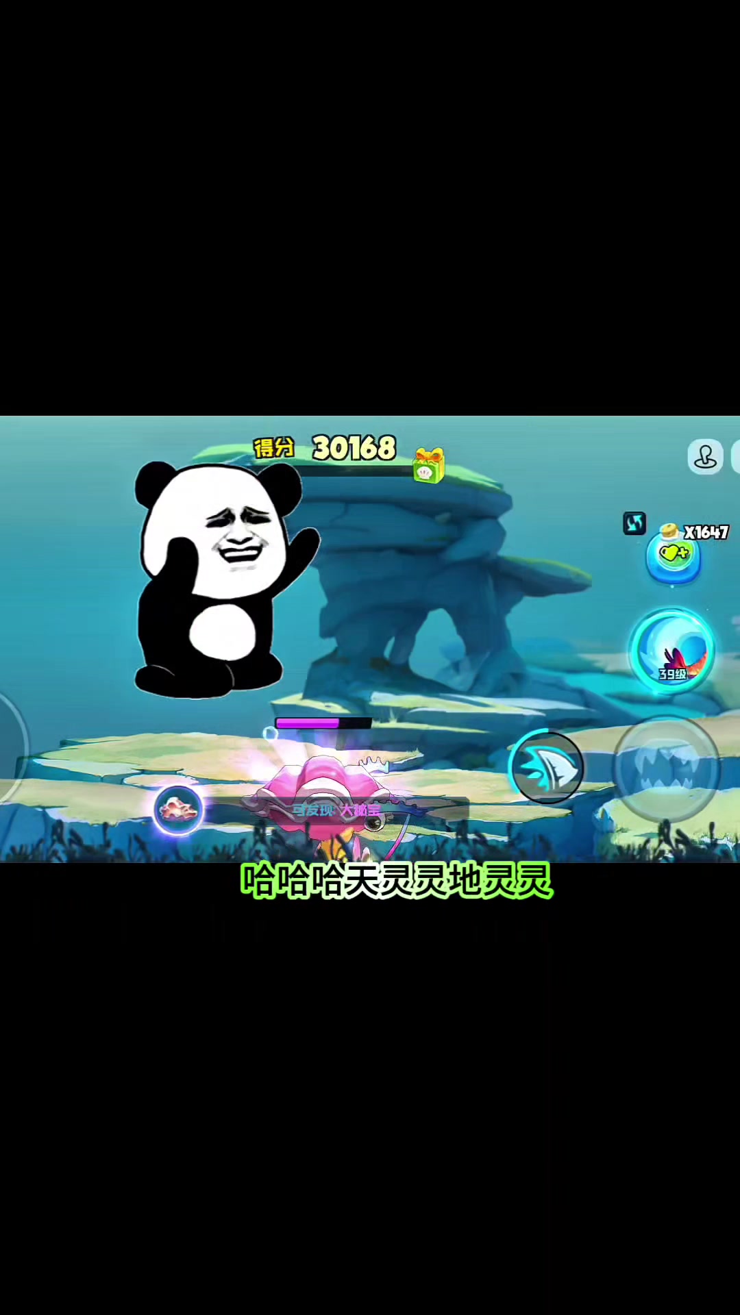 鱼吃鱼,甩尾奇虾