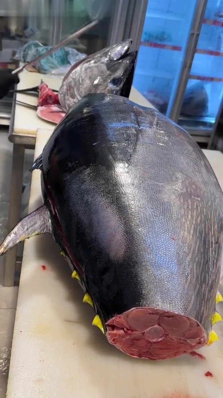 切割蓝鳍金枪鱼，超级解压的切割！