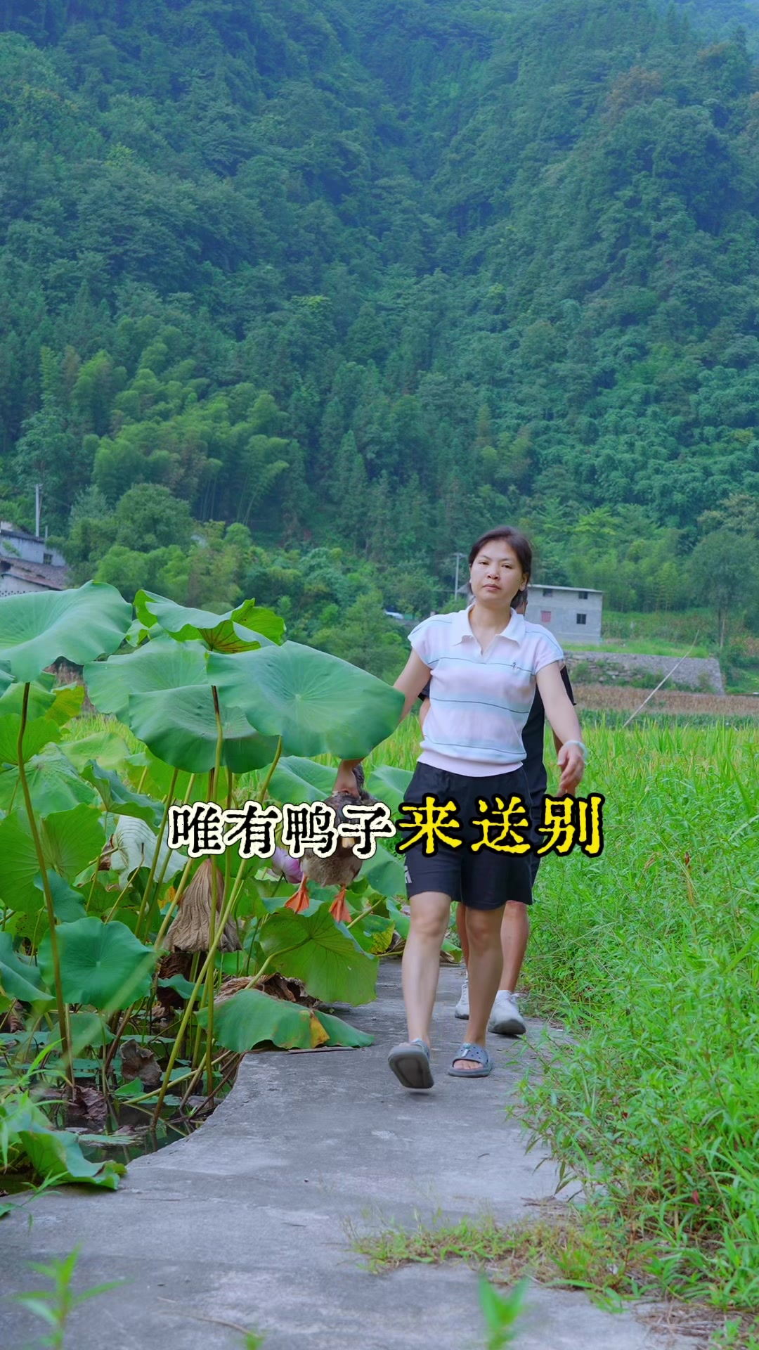 魔芋这个东西太神奇了,三个魔芋就做了满满一大锅。魔芋烧鸭子