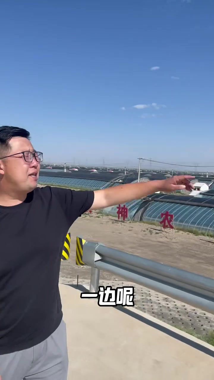 戈壁绿洲农场 祁连山脚下的菜篮子工程，戈壁滩上的绿洲农场，这里种植采用了基质袋的种植模式，