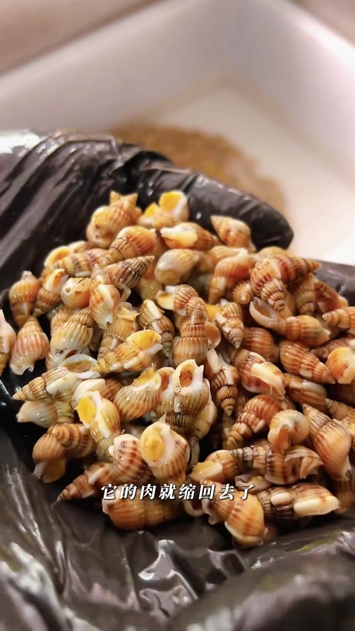 辣炒海螺丝,个个露头超新鲜