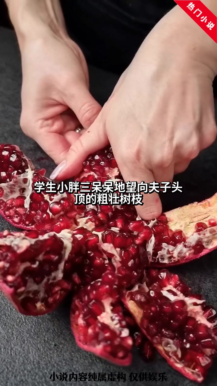 精彩小说推荐：人鱼