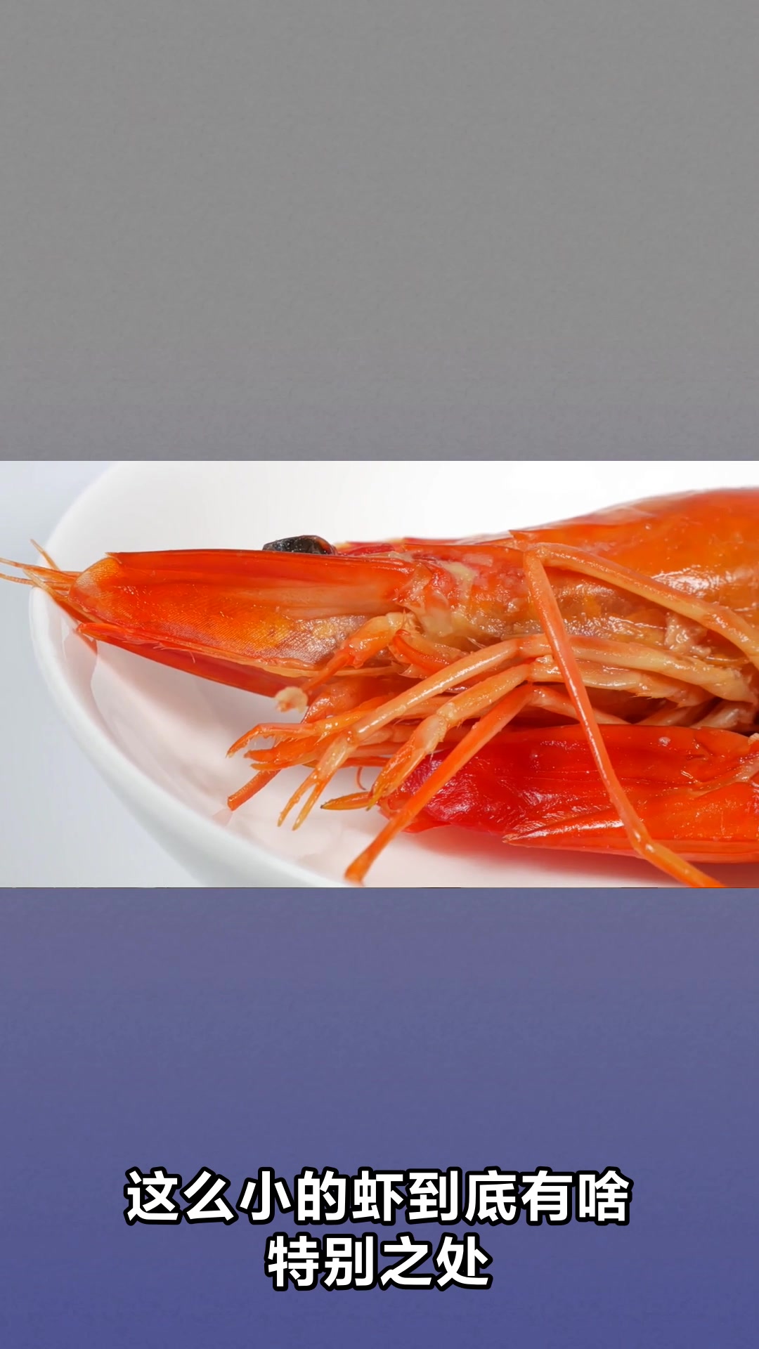南极磷虾的神奇功效你了解多少