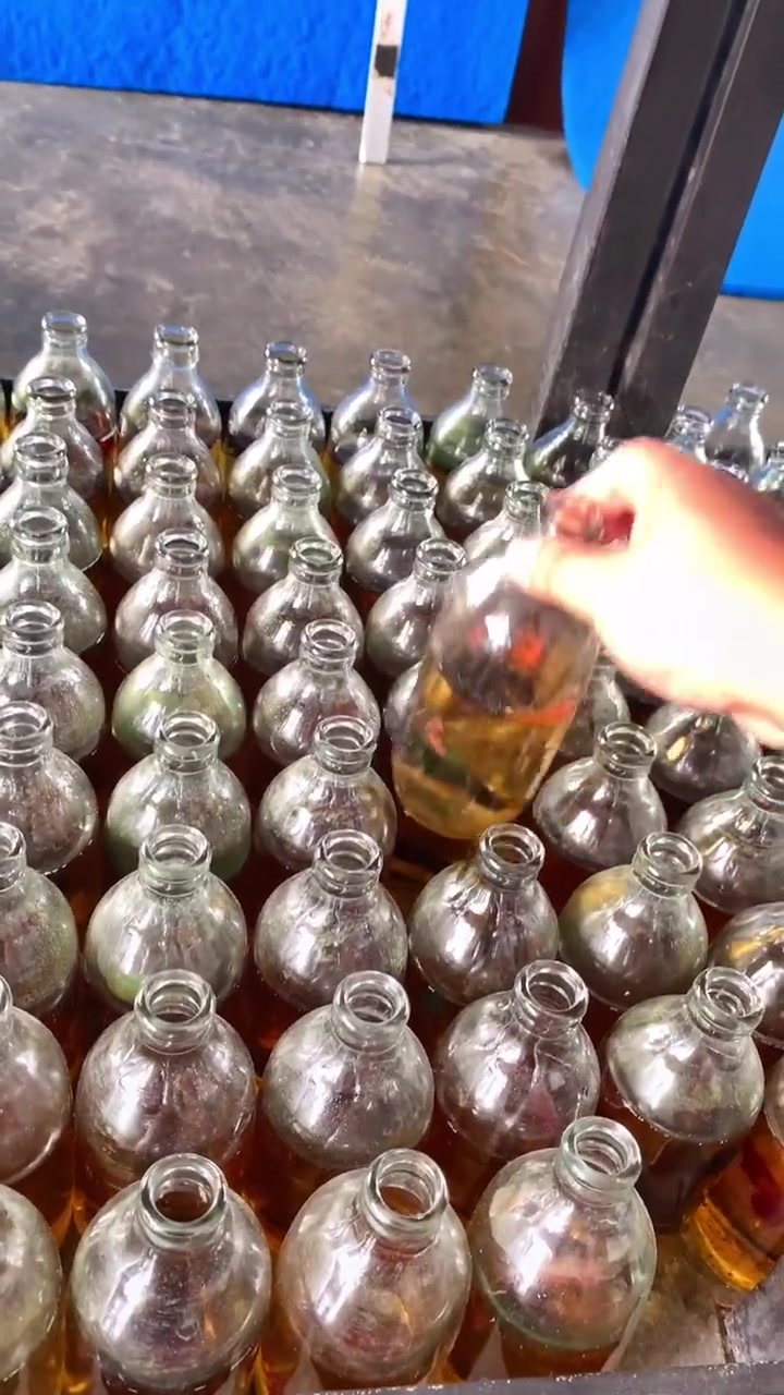 小萌的鱼伙伴儿