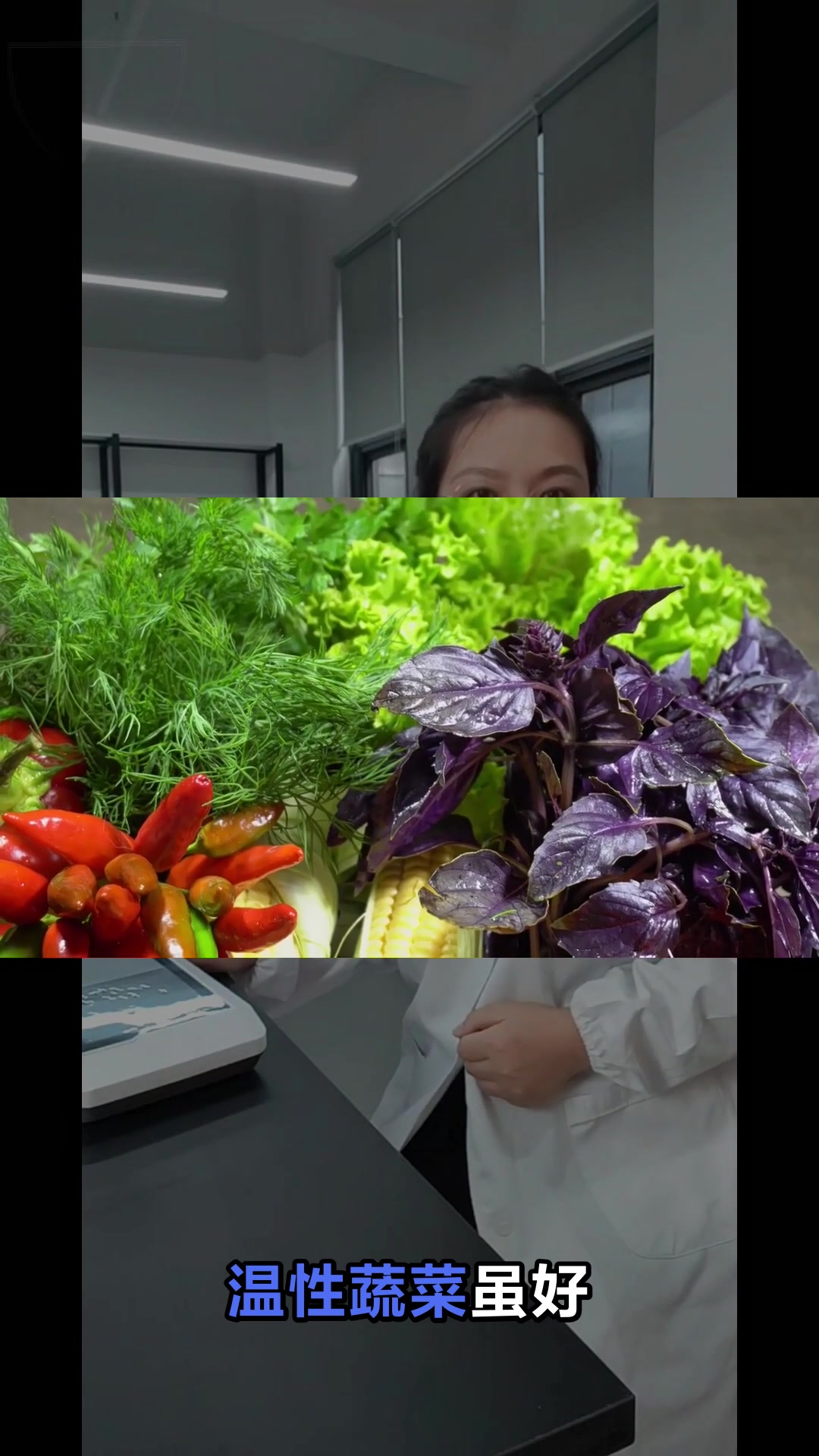 性温不寒的蔬菜有哪些