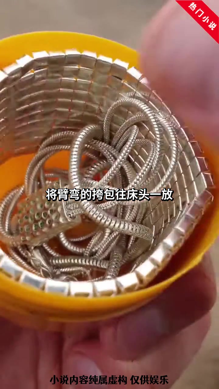小说:我穿进年代文里去相亲,还没开场就被那个冷面男主搅黄了!