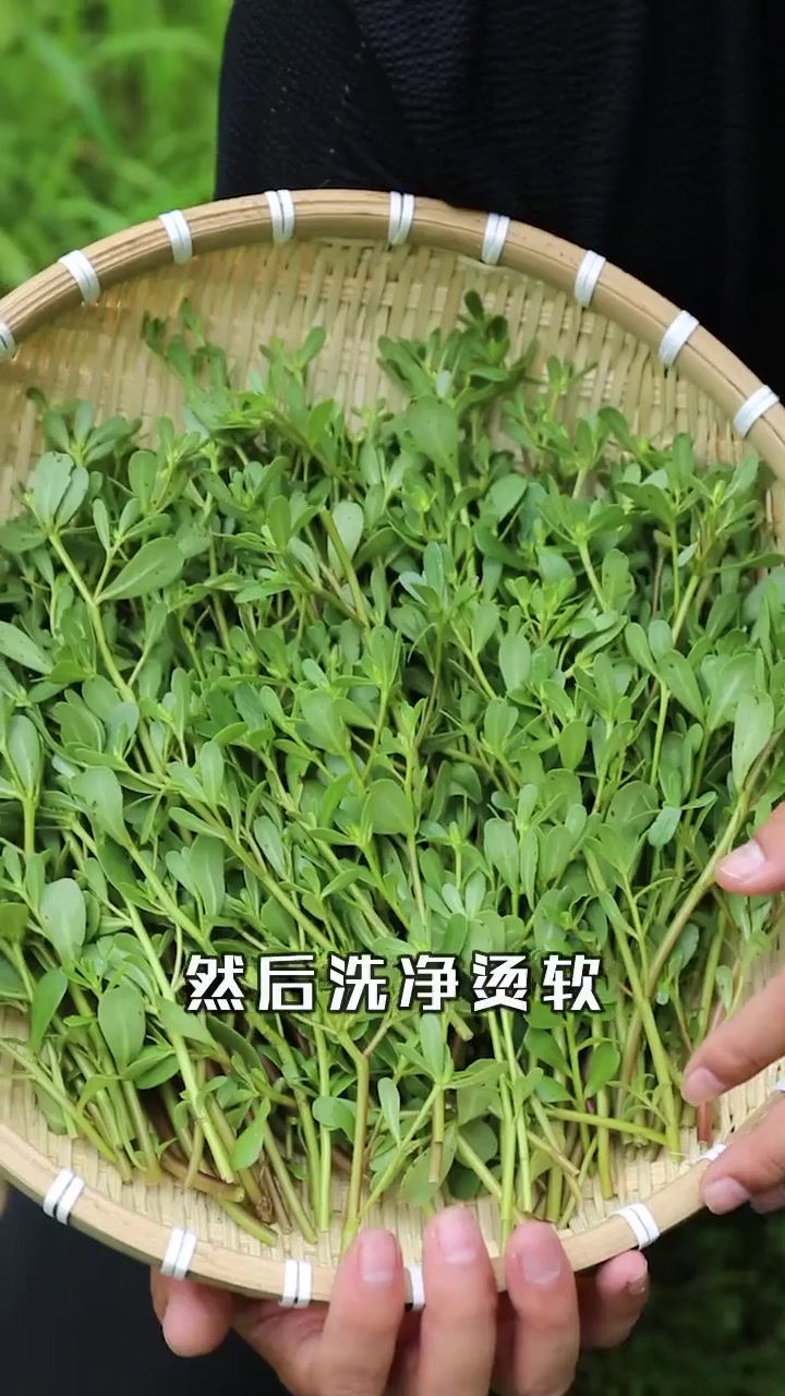 最能代表夏天的野菜之一