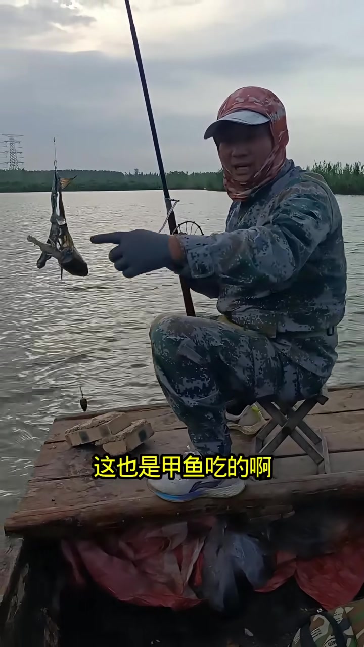 死鱼头特像甲鱼，判断失误，你们知道怎么打甲鱼吗？