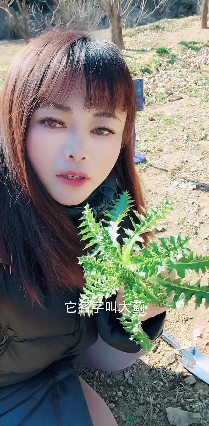 哇！竟然挖到了鲜嫩的蓟菜！