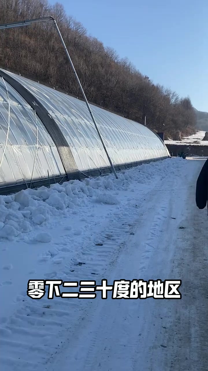 我命由我不由天,这是我们农业人的一种精神,在零下二十三十度地区大棚种植蔬菜,在戈壁荒漠通过