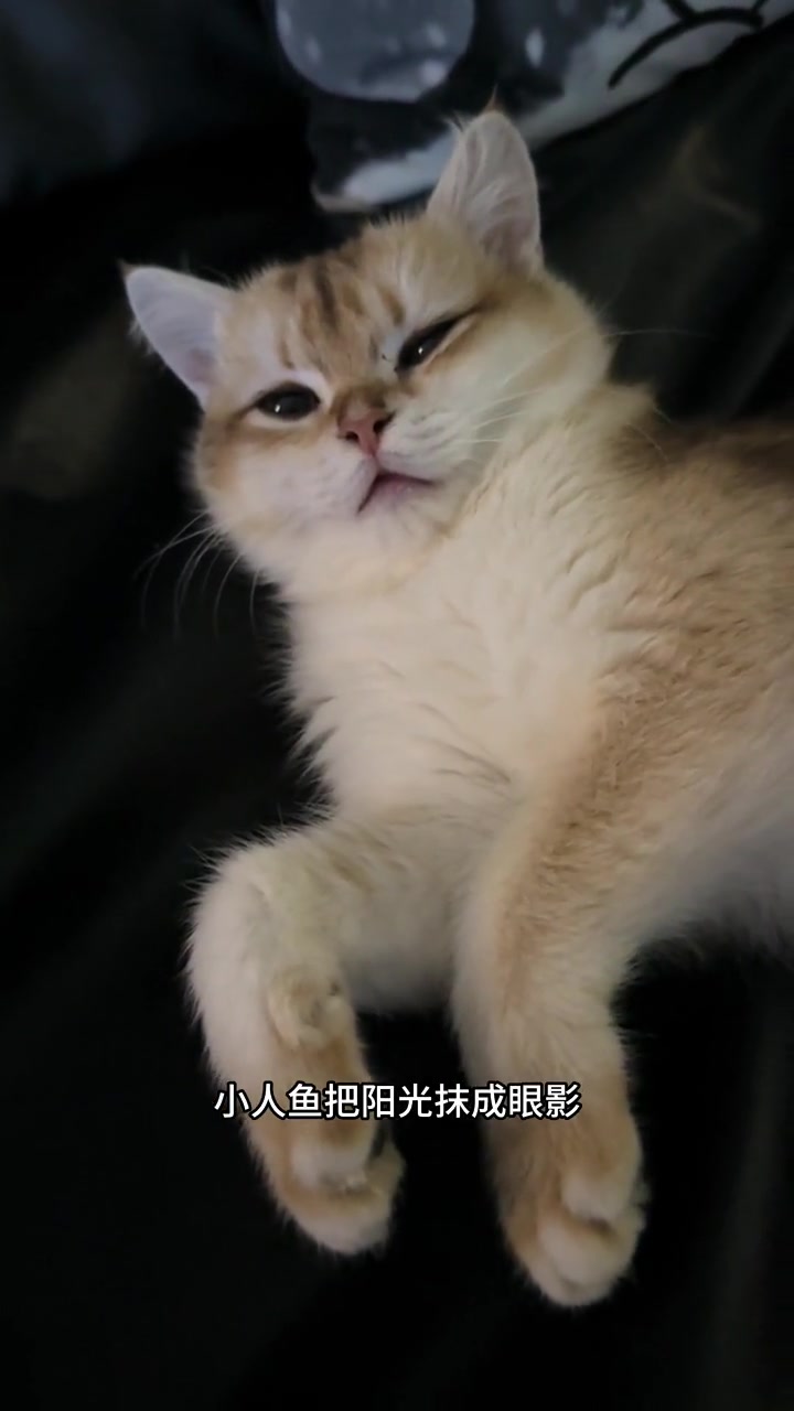 我都看见你眼屎了