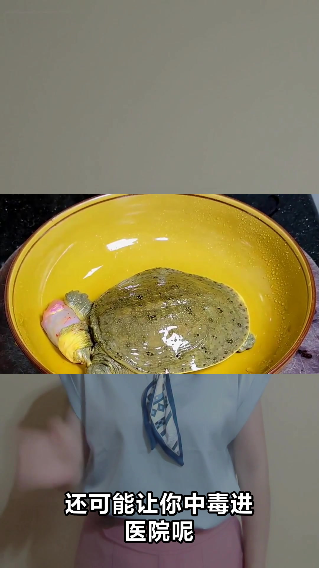 甲鱼胆到底能不能吃