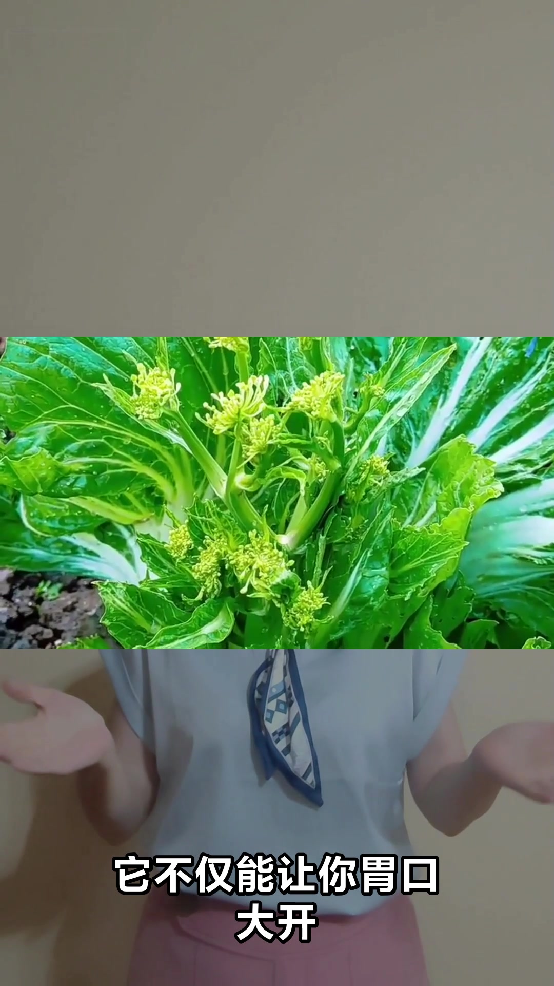 介菜的神奇功效与作用你知道吗