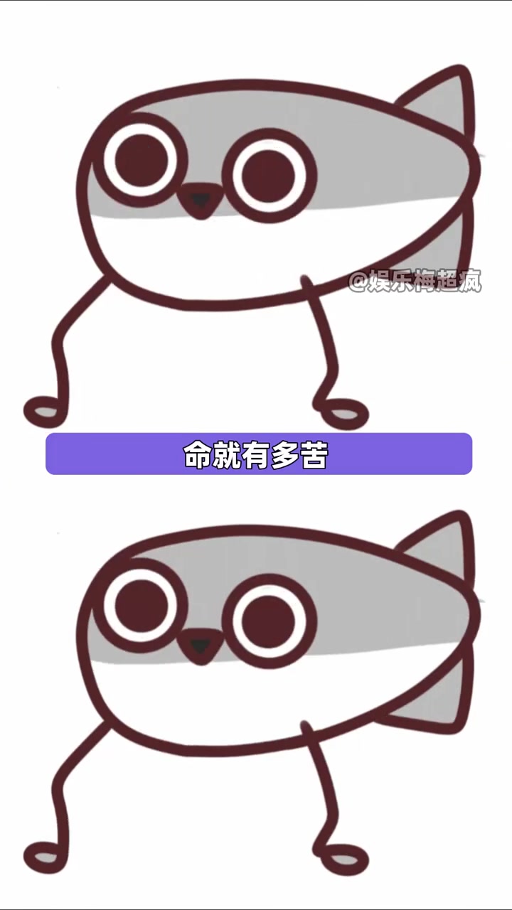 萨卡班甲鱼，命很苦的一条鱼