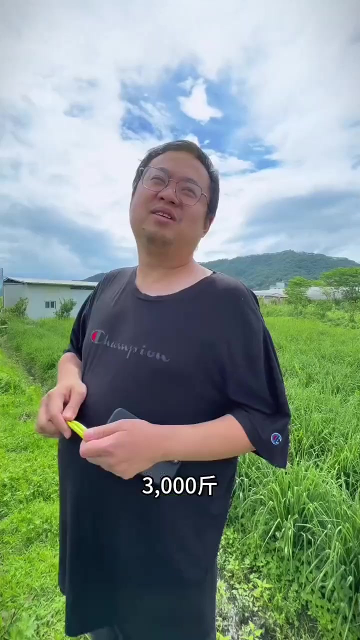 种植黄花菜能不能赚钱，带大家简单了解一下种一亩黄花菜能摘多少花，结尾告诉大家怎么吃