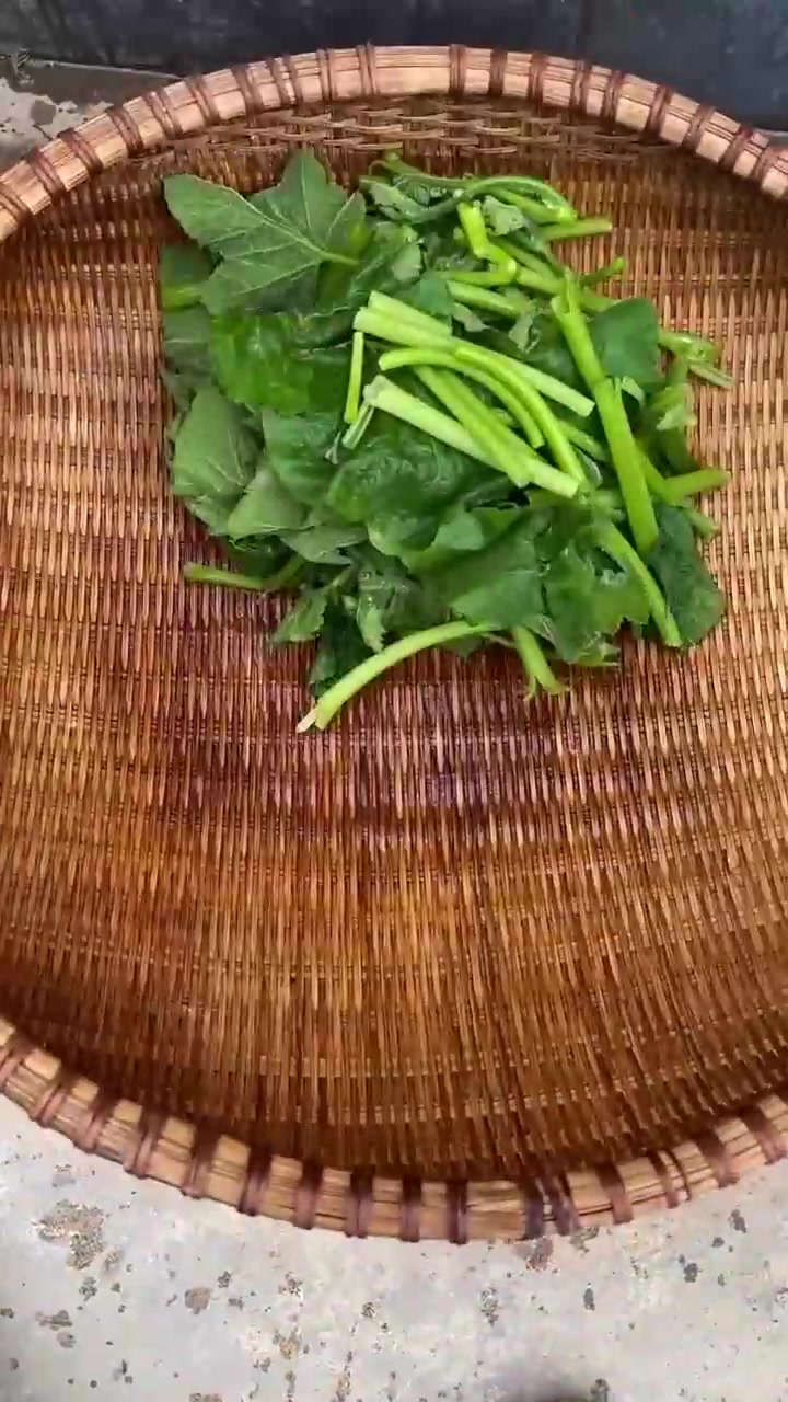 春野食鲜记，今天吃螺蛳鱼野菜火锅！螺蛳鱼的鲜，野菜的嫩，一口下去都是春天的味道~