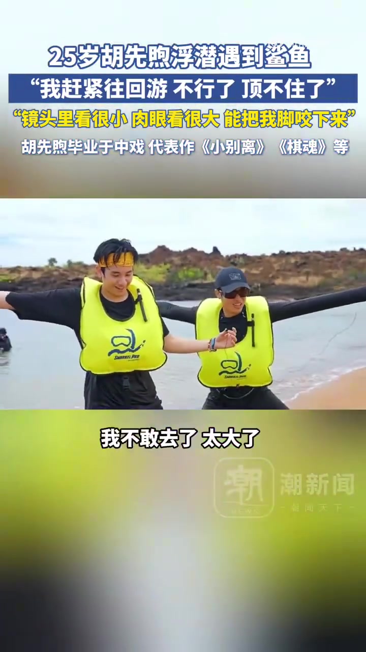 胡先煦浮潜遇鲨鱼飞速逃命：能把我脚咬下来