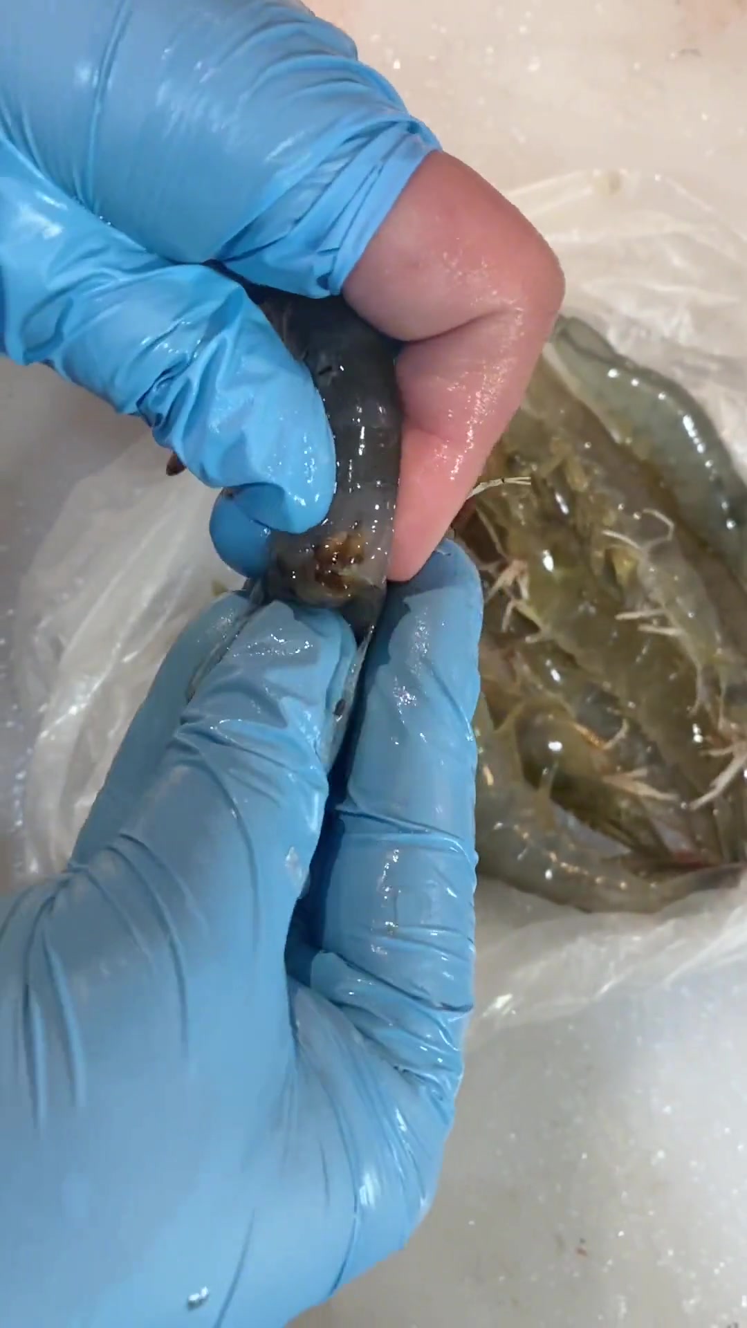 虾线到底要不要去掉？