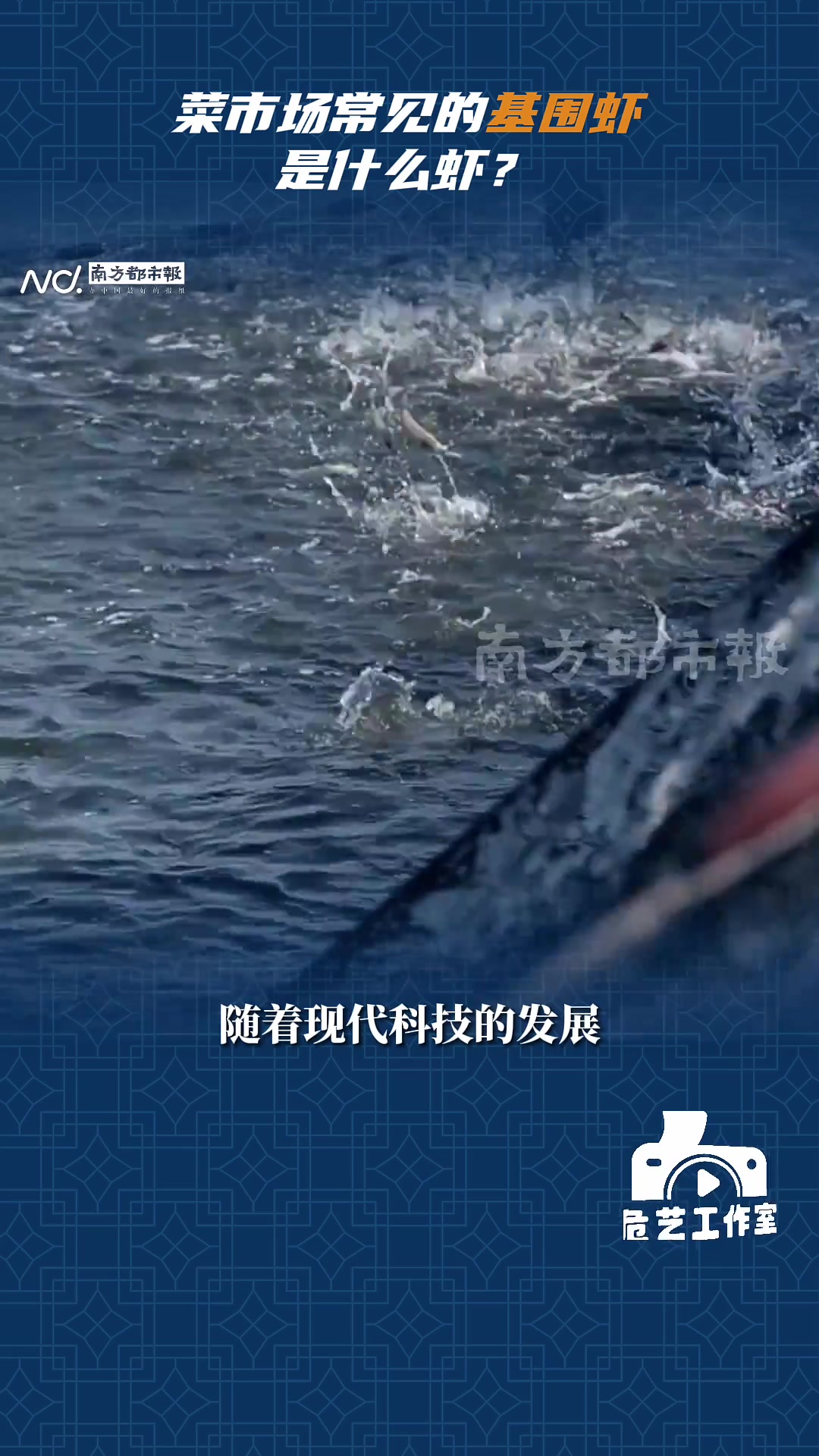 菜市场常见的“基围虾”，是什么虾？