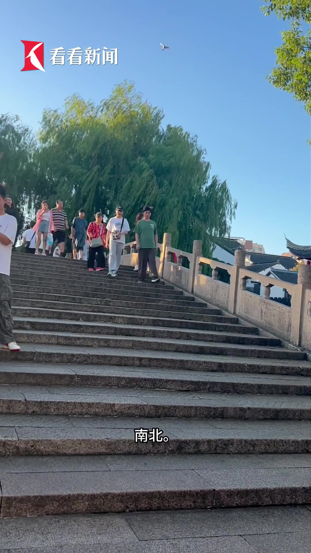 饶歆宁:千年水乡藏着上海地道烟火气