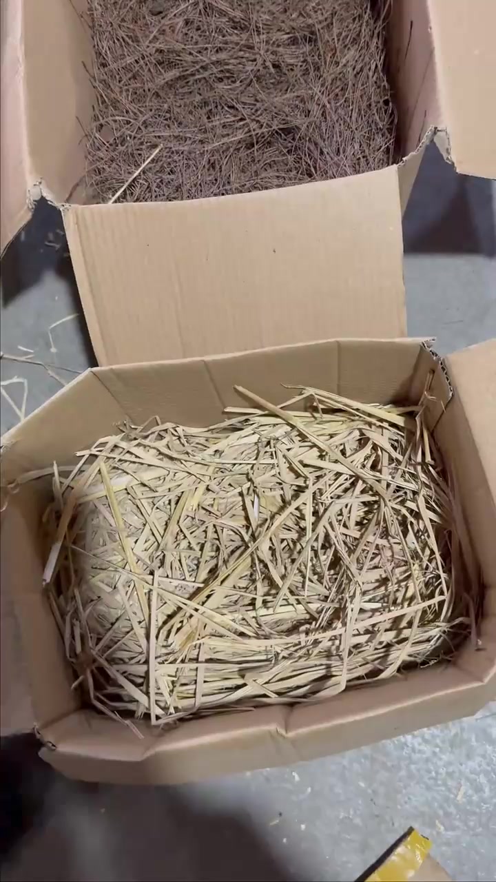 终于有土鸡蛋吃了，我家跑山鸡真会选时间下蛋，正是野葱炒土鸡蛋好时节啊