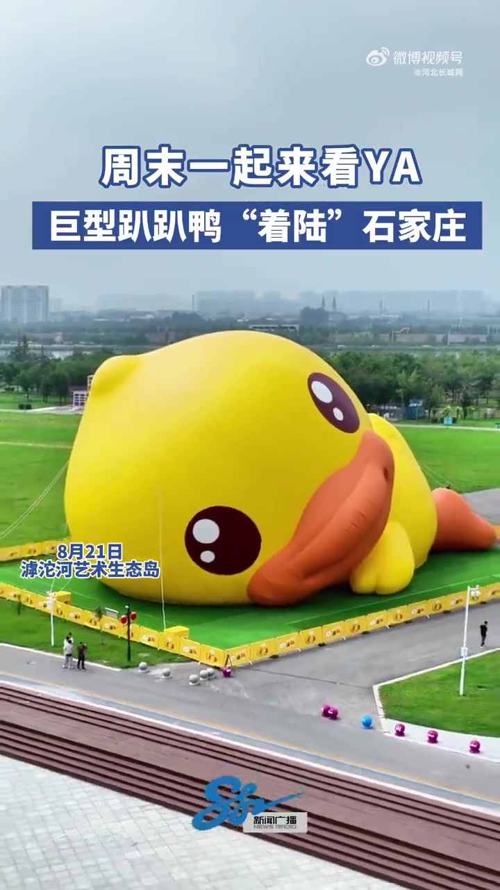 「周末一起来看YA！20米高巨型小黄鸭亮相石家庄」8月21日，河北石家庄。在滹沱河艺术生态