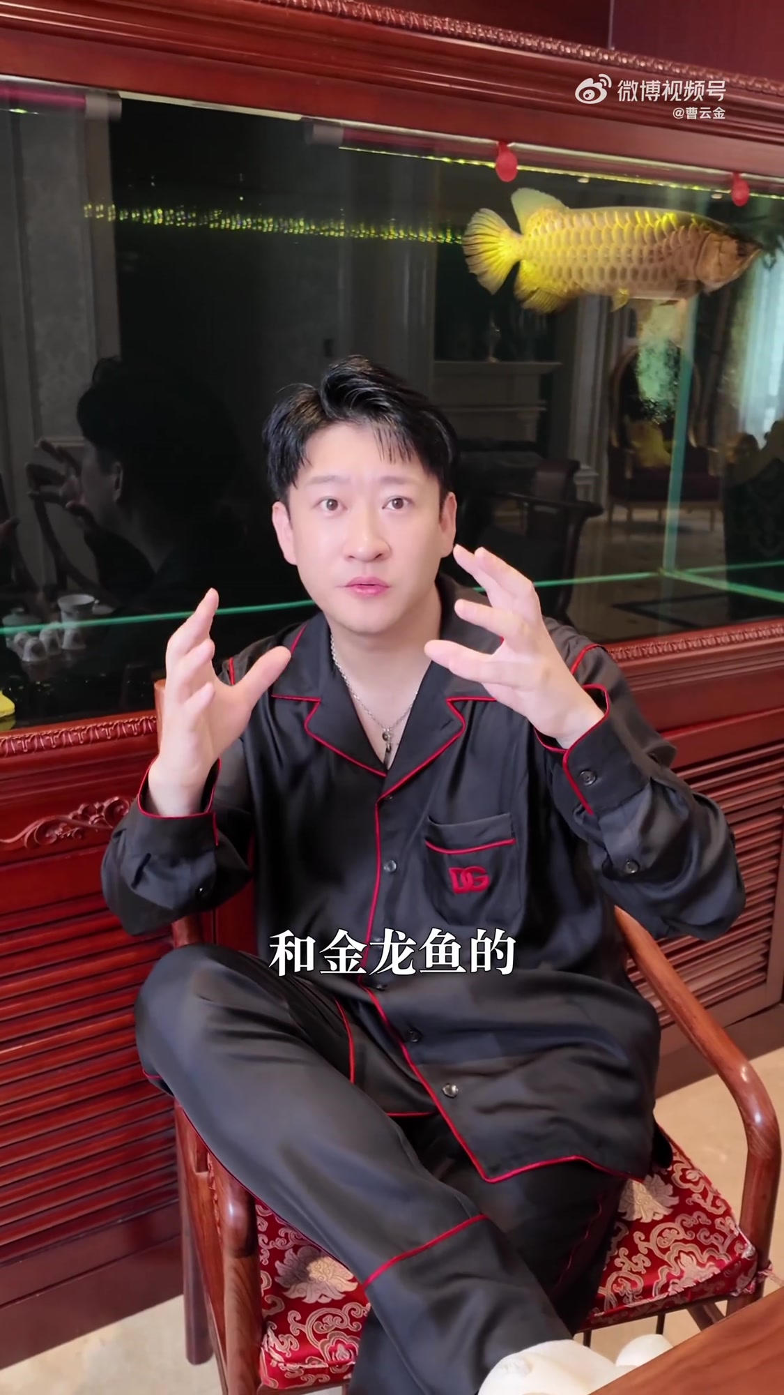 别墅里边喂猫,水池里边金龙鱼~