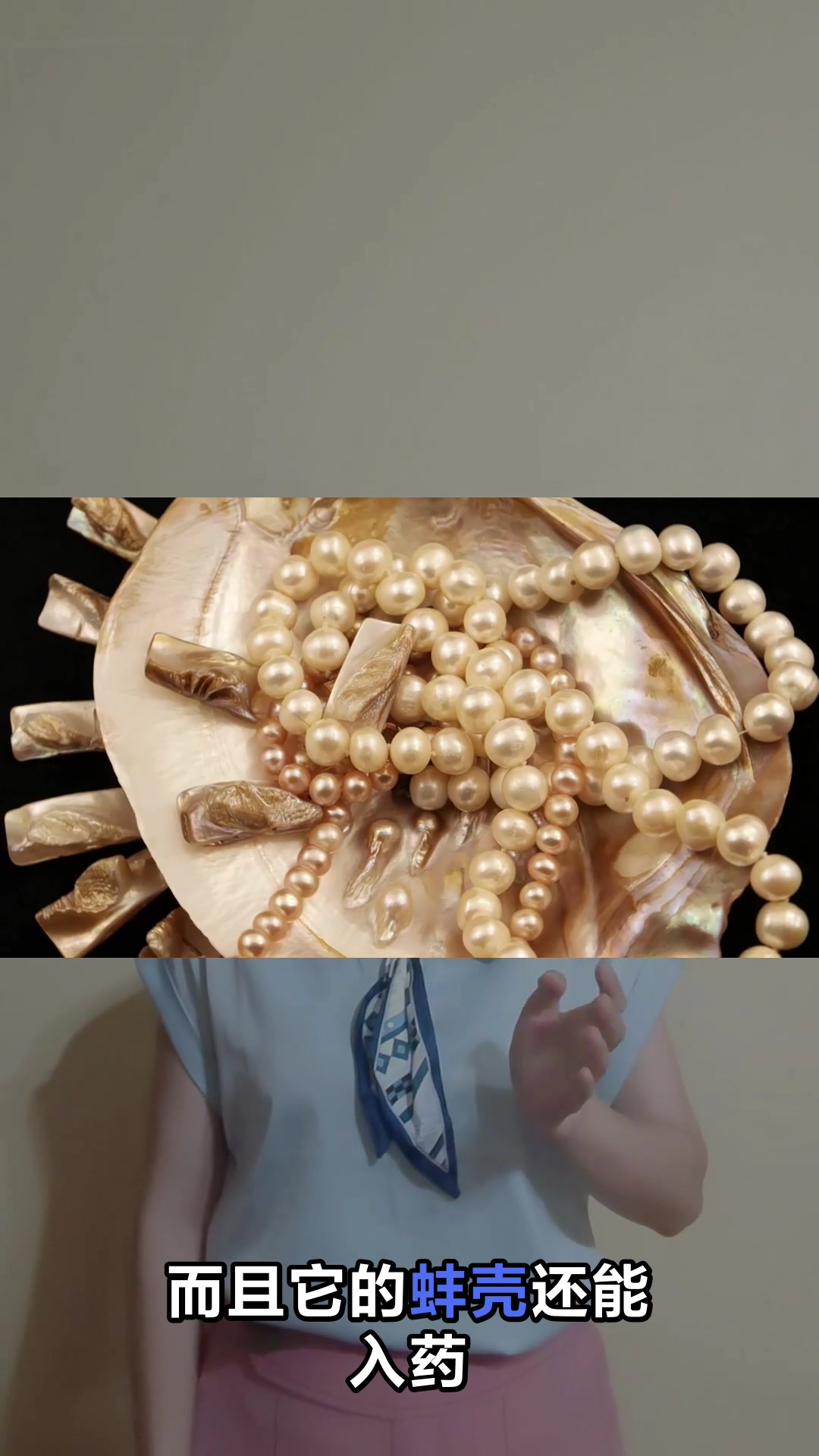 河蚌的功效与作用你知道吗