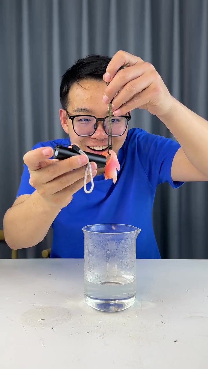 这个变色烤鸭真的好用吗