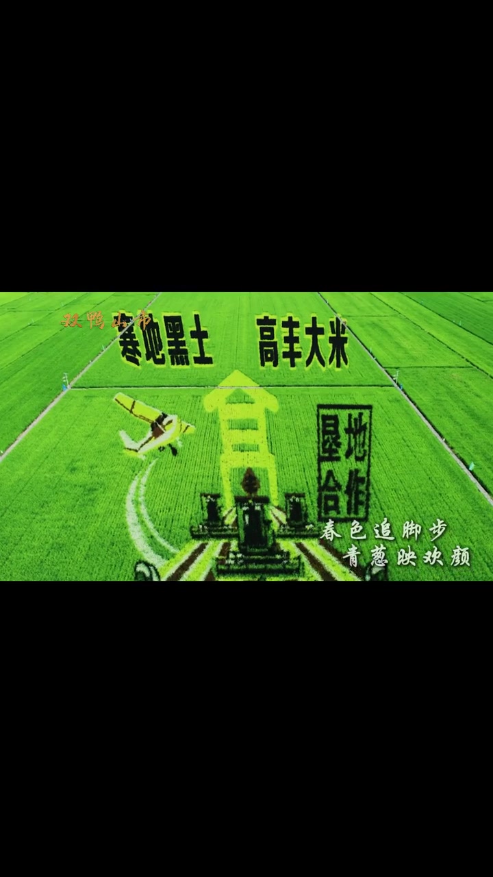 我的城市我的家——双鸭山市
