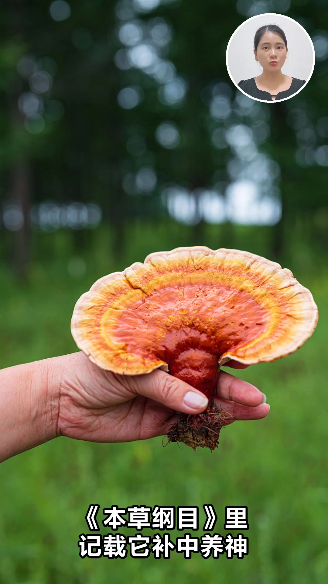 莲子养生功效大揭秘