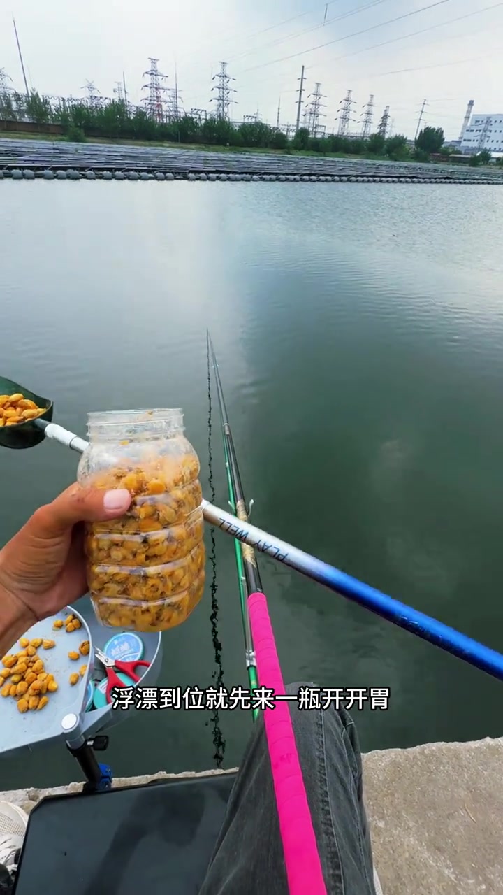 继续挑战25+野生大鲤鱼，第一天！这已经第三次来荣钢水库了，前两次挑战20+都完成了，希望