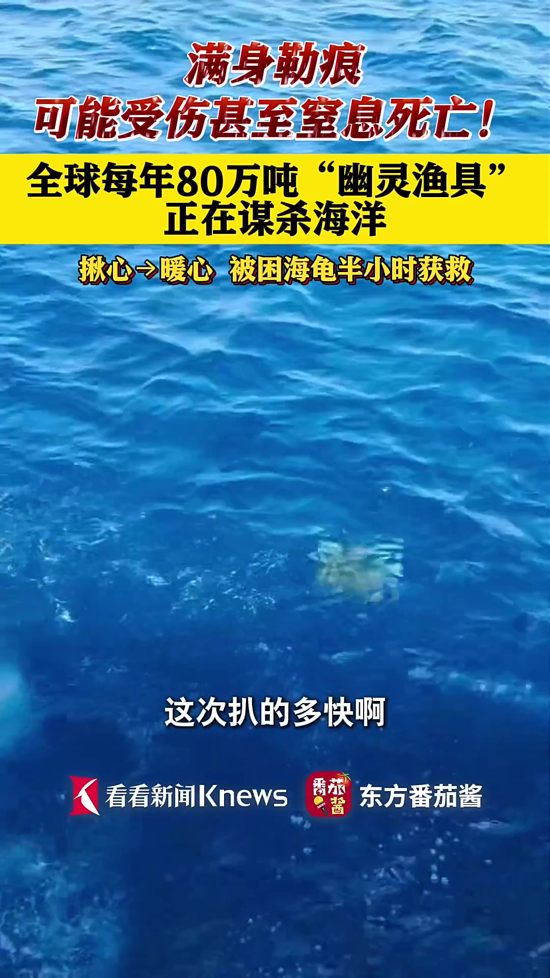 南海救助局船员成功救助被渔网缠绕海龟