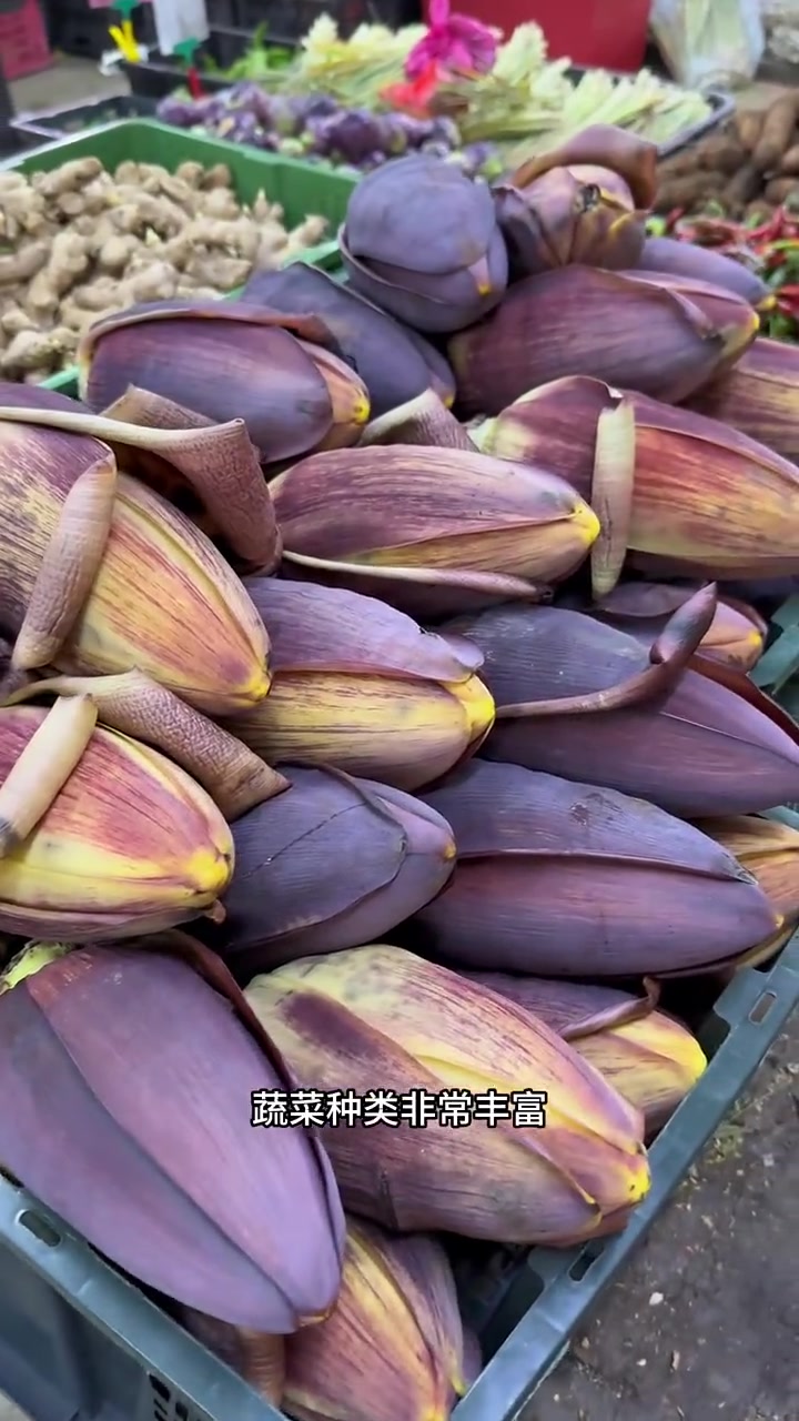 亚庇篇：菜市场里面各种奇奇怪怪的蔬菜水果