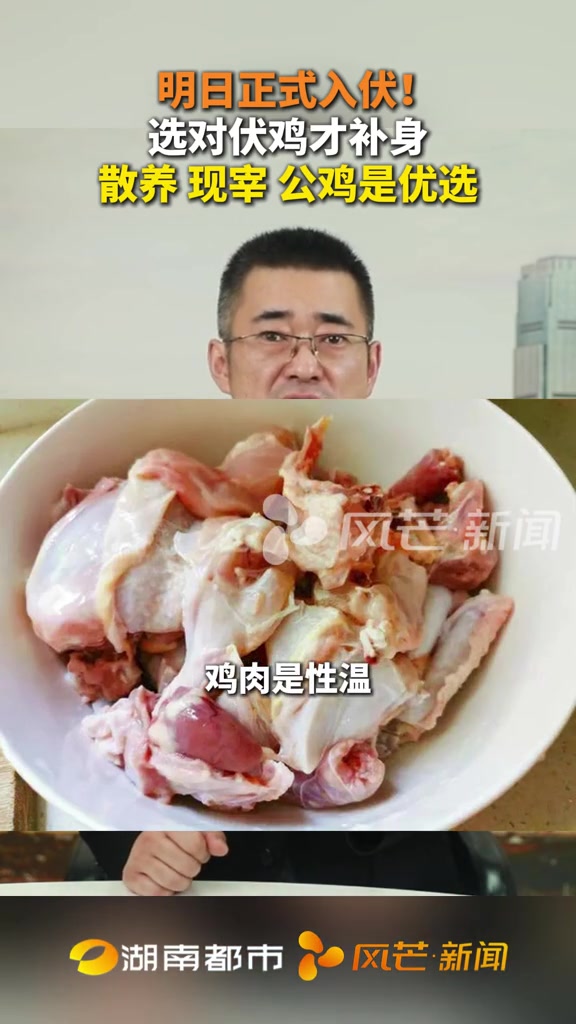 明日正式入伏！选对伏鸡才补身 散养 现宰 公鸡是优选