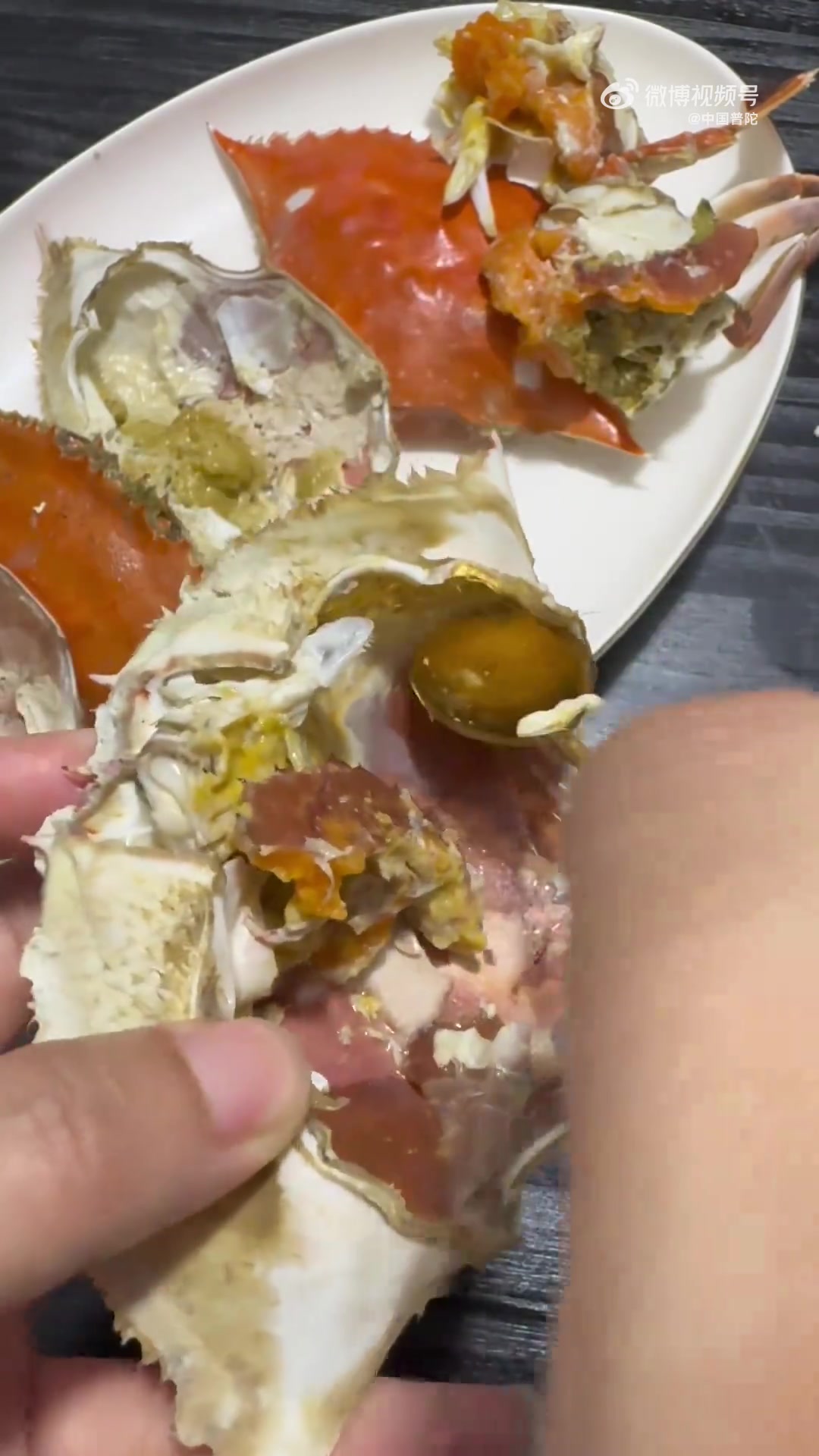 谁能拒绝一只肥到流油的舟山梭子蟹啊!刚出锅的蟹壳红得透亮,掰开瞬间蟹黄香直冲天灵盖 橙黄澄