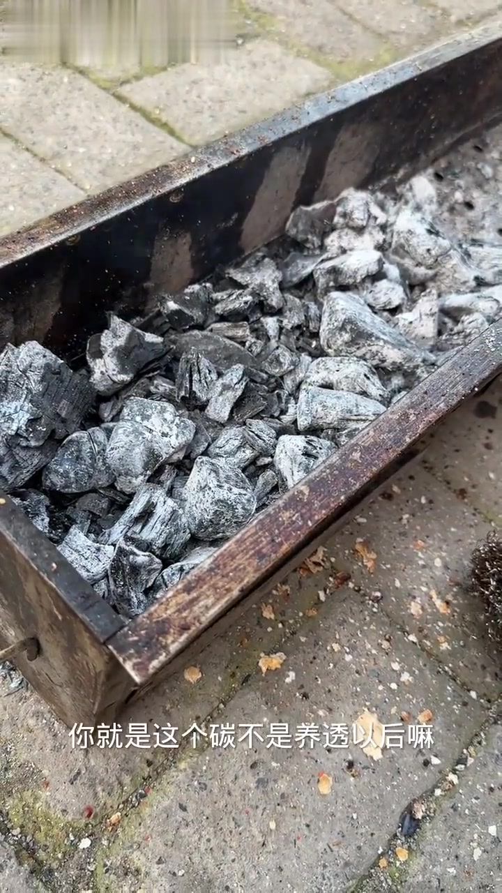 烤韭菜秘籍大公开！好吃到爆的秘诀都在这儿了！