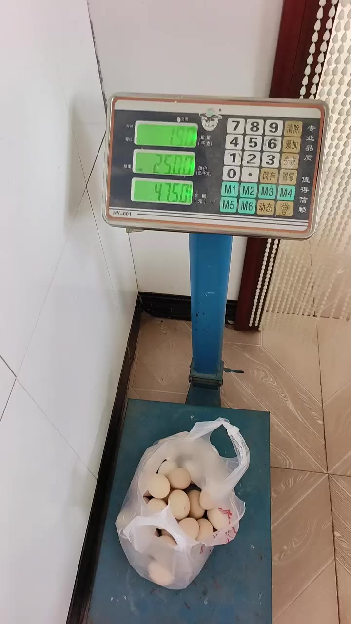 乌鸡蛋发往北京