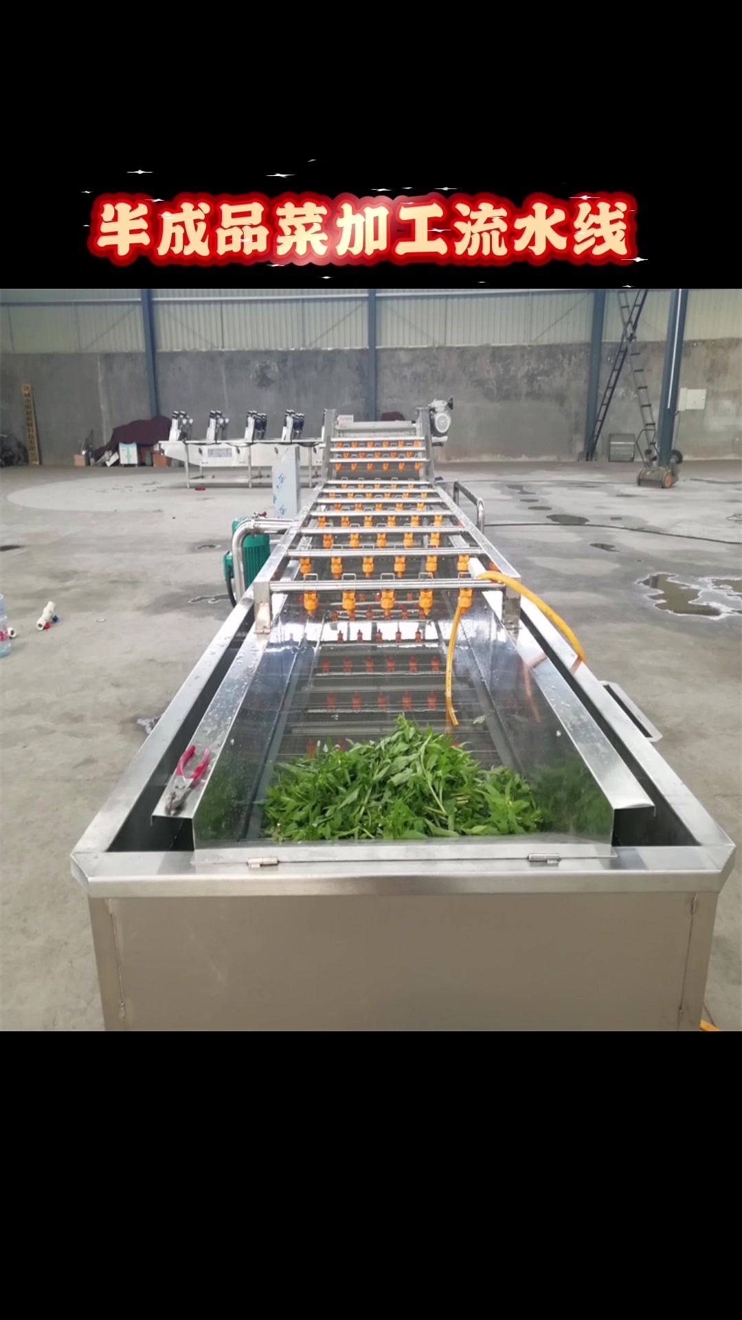 半成品菜加工流水线