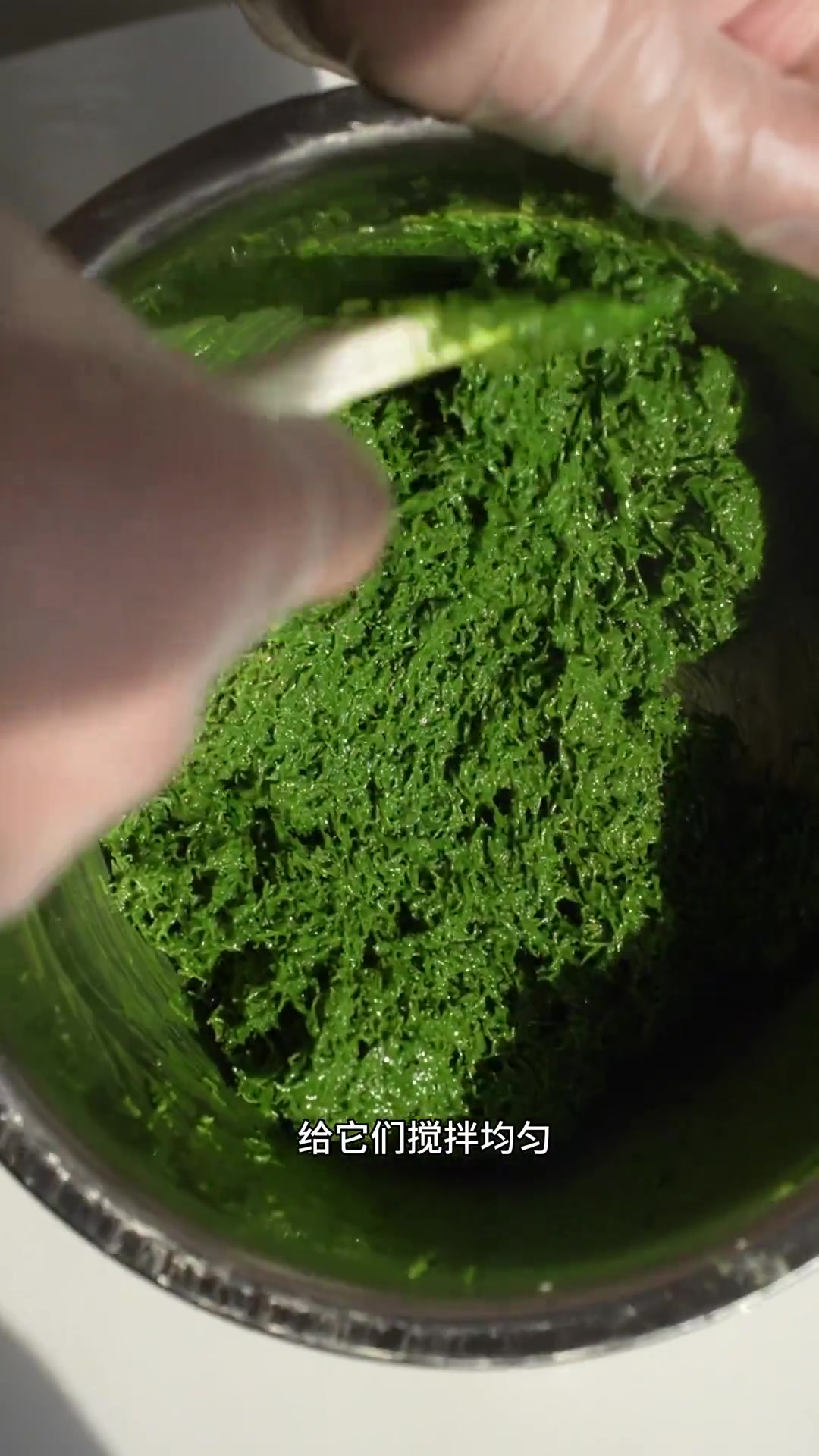 互联网馋嘴怪吃上800块迪拜巧克力，教程来啦！